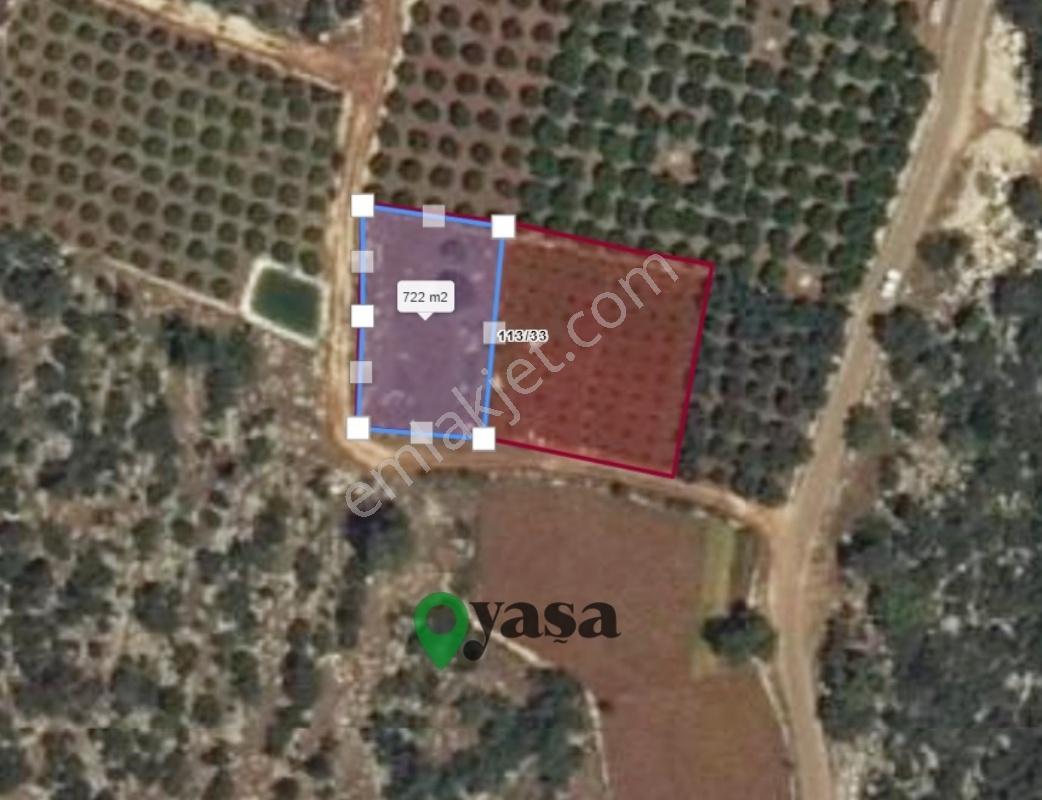Yaşa Gyd - Batısandalda 725 M² Kadastro Yollu Köşe Parsel — fotoğraf 7