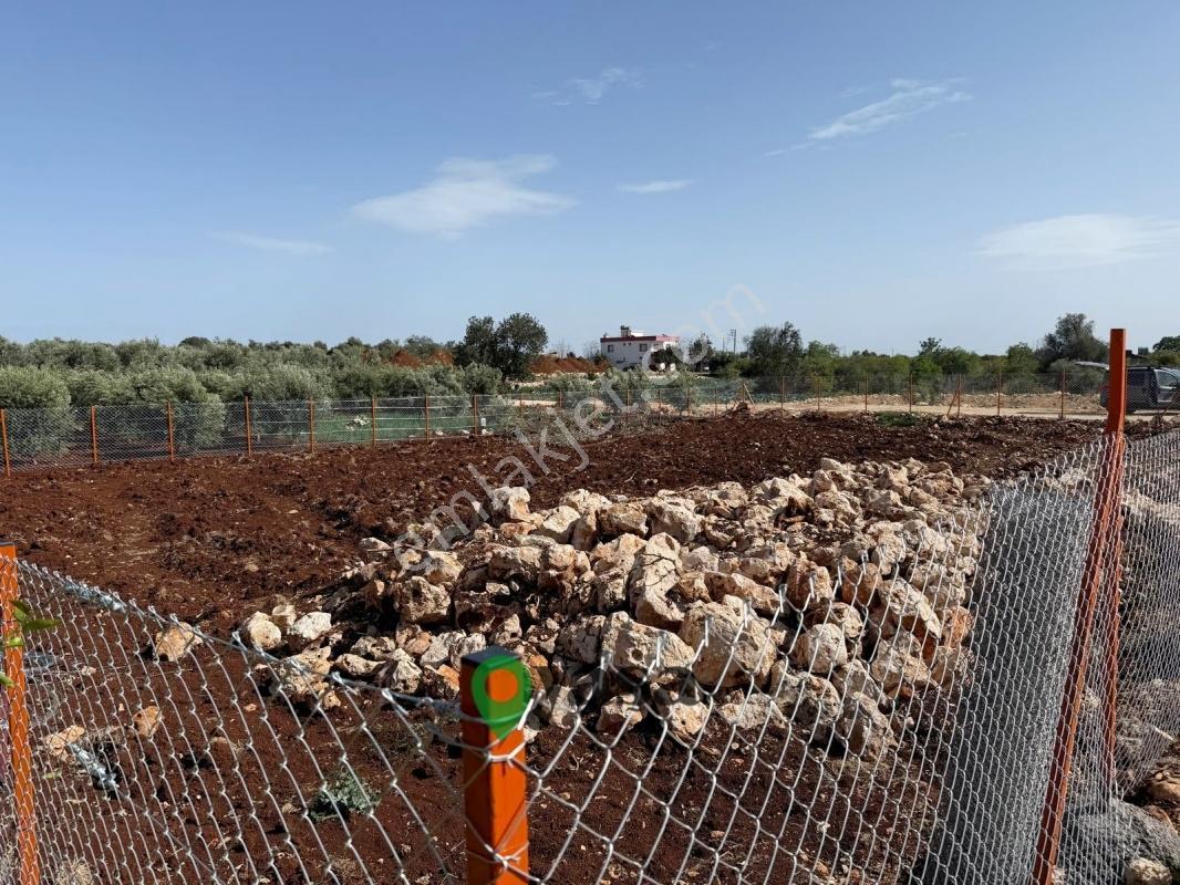 Yaşa Gyd - Batısandalda 725 M² Kadastro Yollu Köşe Parsel — fotoğraf 8