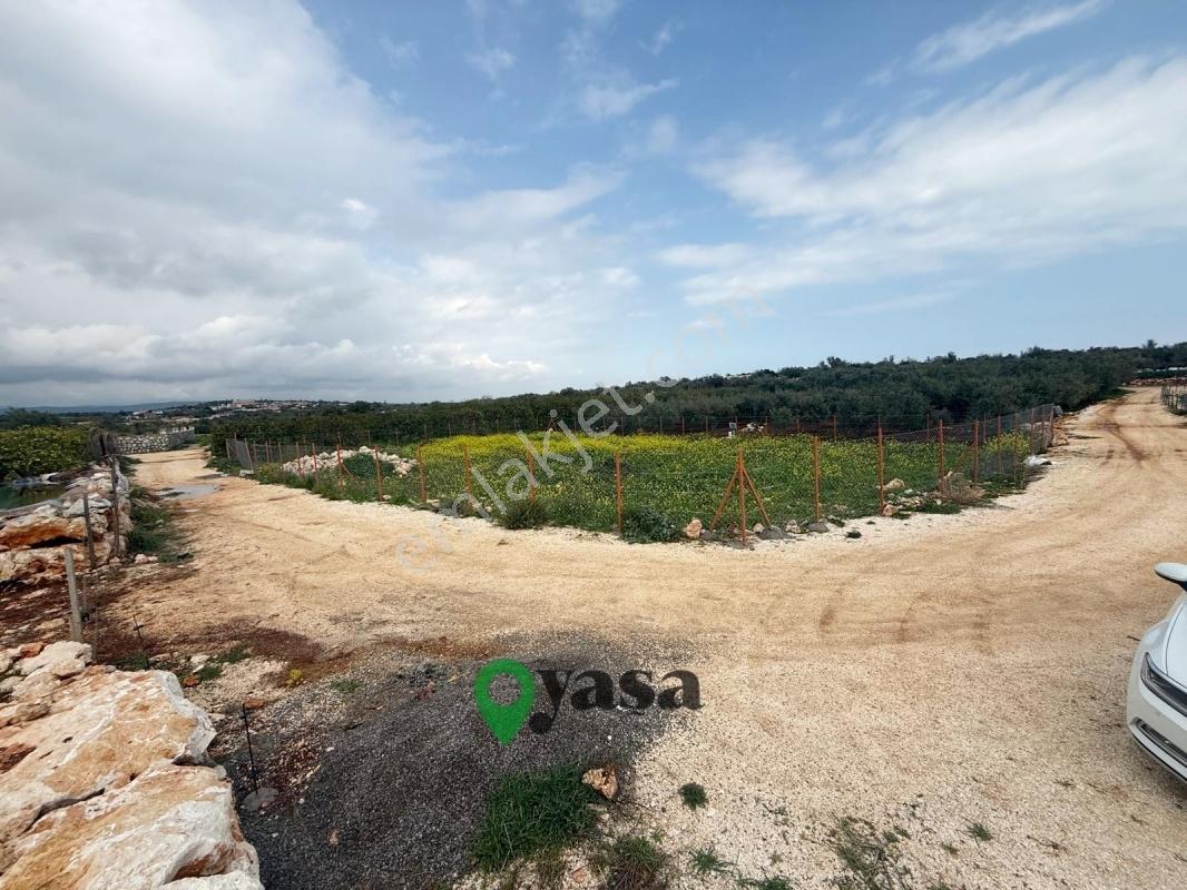 Yaşa Gyd - Batısandalda 725 M² Kadastro Yollu Köşe Parsel — fotoğraf 9