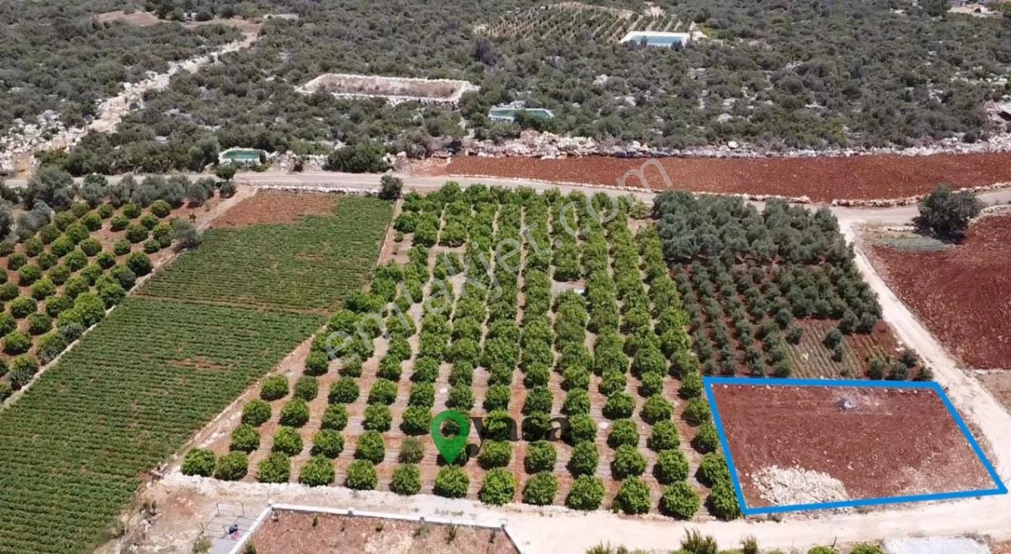 Yaşa Gyd - Batısandalda 725 M² Kadastro Yollu Köşe Parsel — fotoğraf 11