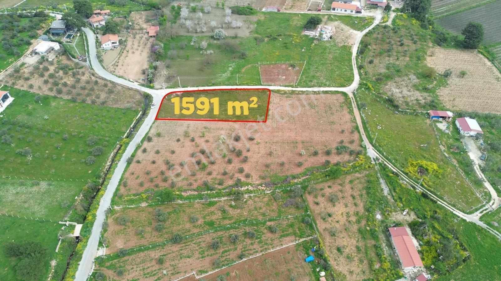Kuşadası Çınar Köyünde Anayol Kenarında Satılık Arsa — fotoğraf 2