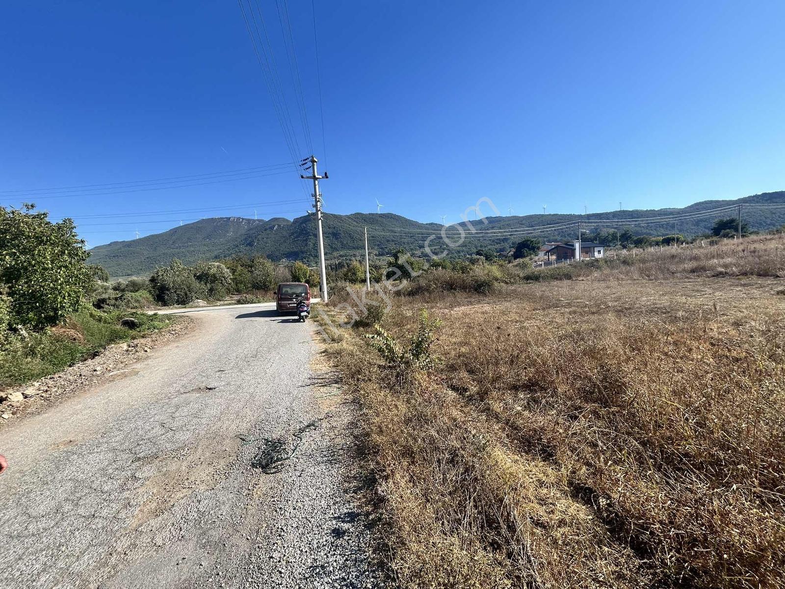 Kuşadası Çınar Köyünde Anayol Kenarında Satılık Arsa — fotoğraf 6