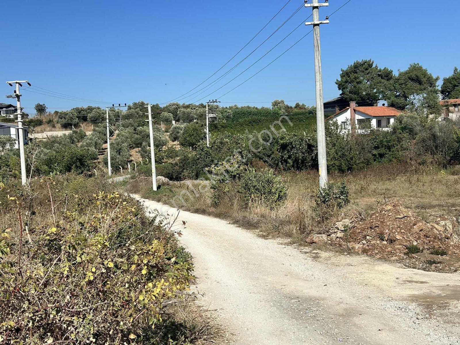 Kuşadası Çınar Köyünde Anayol Kenarında Satılık Arsa — fotoğraf 7