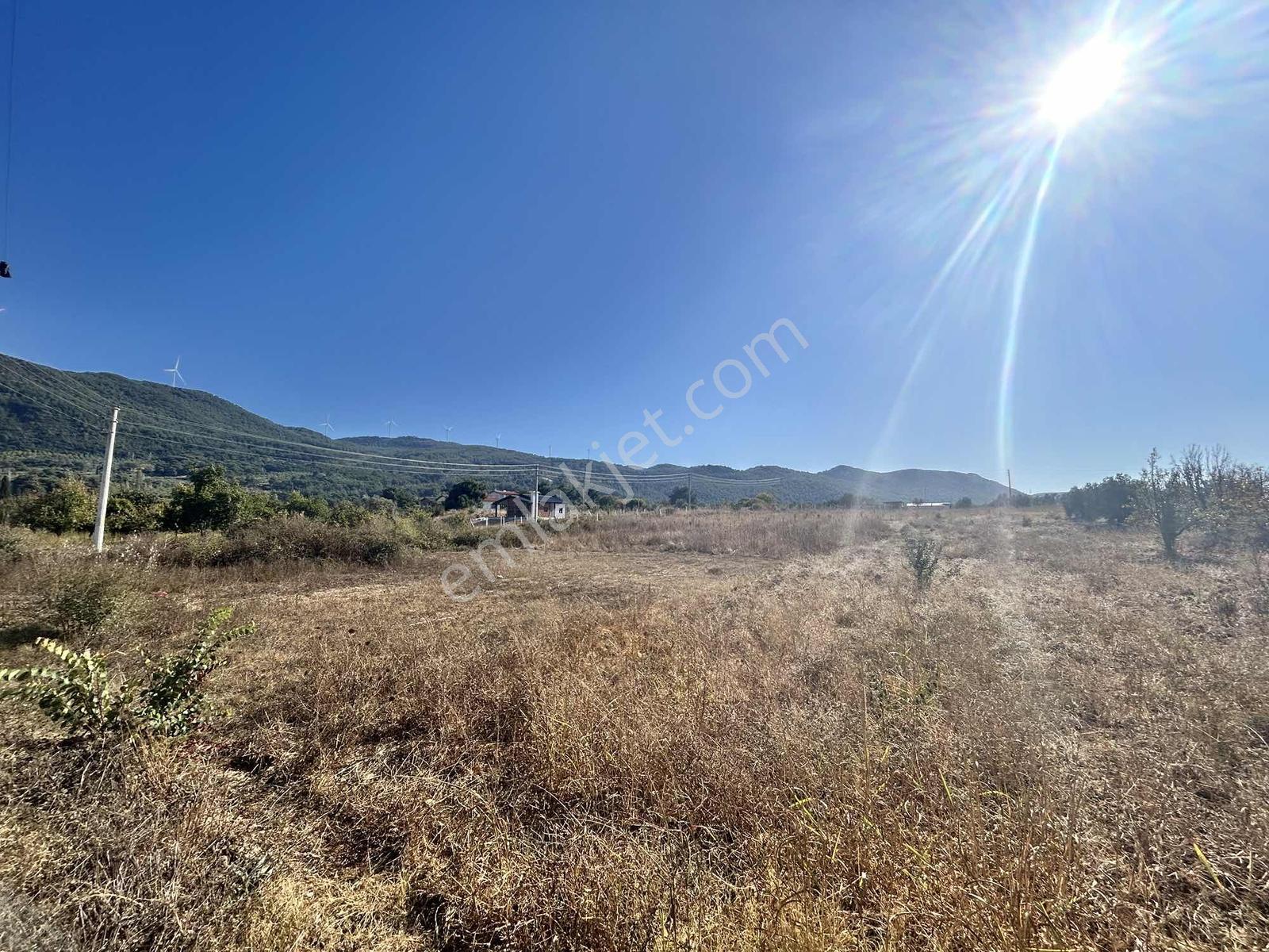 Kuşadası Çınar Köyünde Anayol Kenarında Satılık Arsa — fotoğraf 11