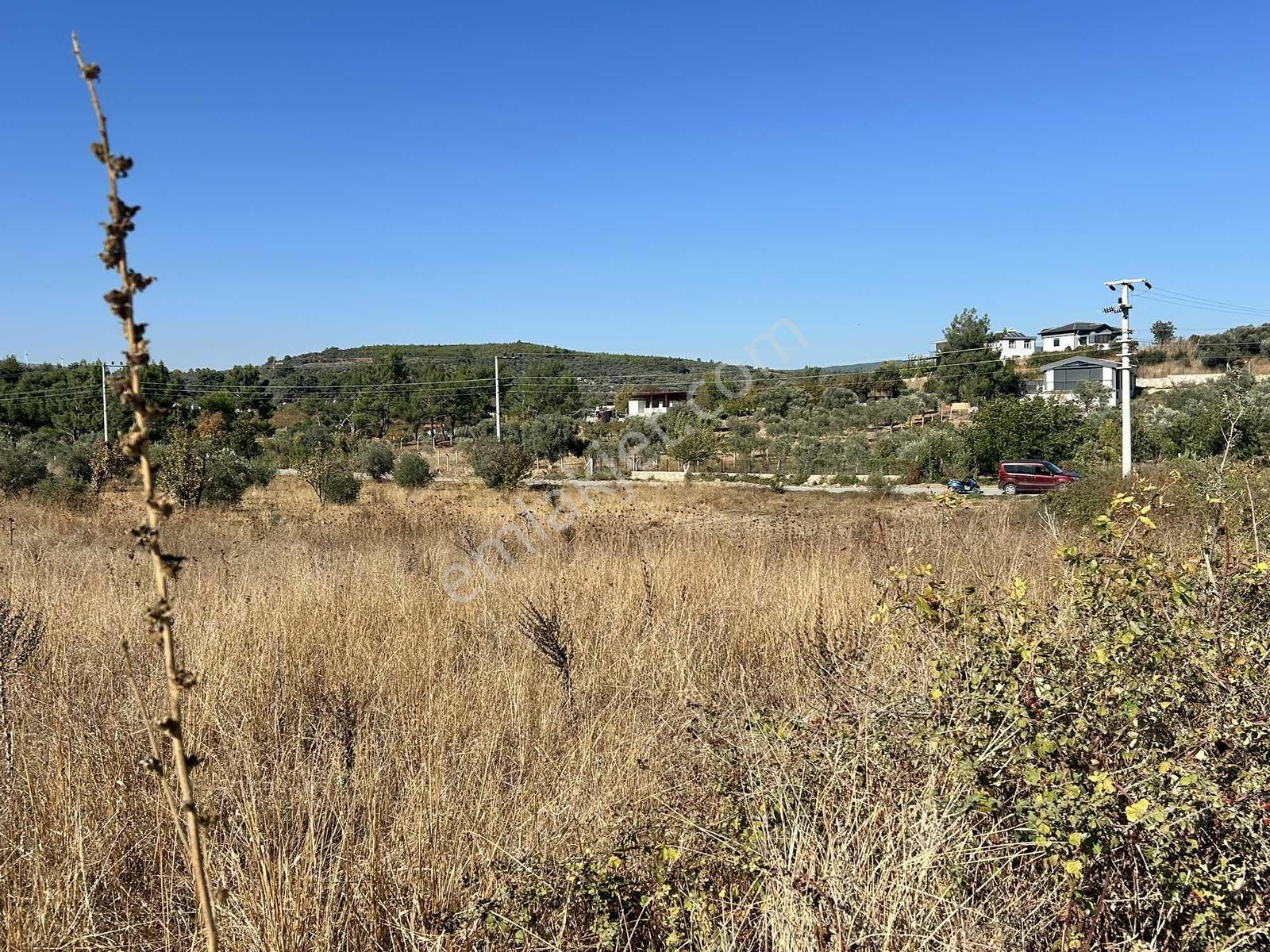 Kuşadası Çınar Köyünde Anayol Kenarında Satılık Arsa — fotoğraf 17