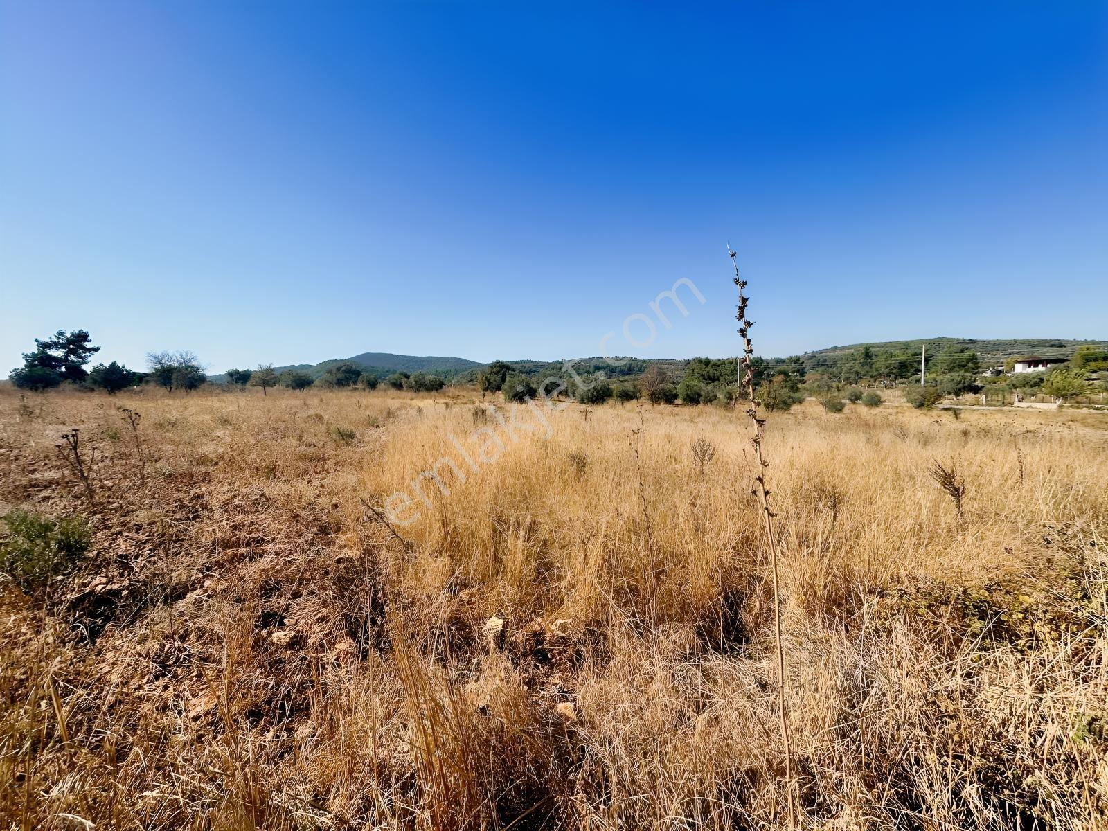 Kuşadası Çınar Köyünde Anayol Kenarında Satılık Arsa — fotoğraf 18