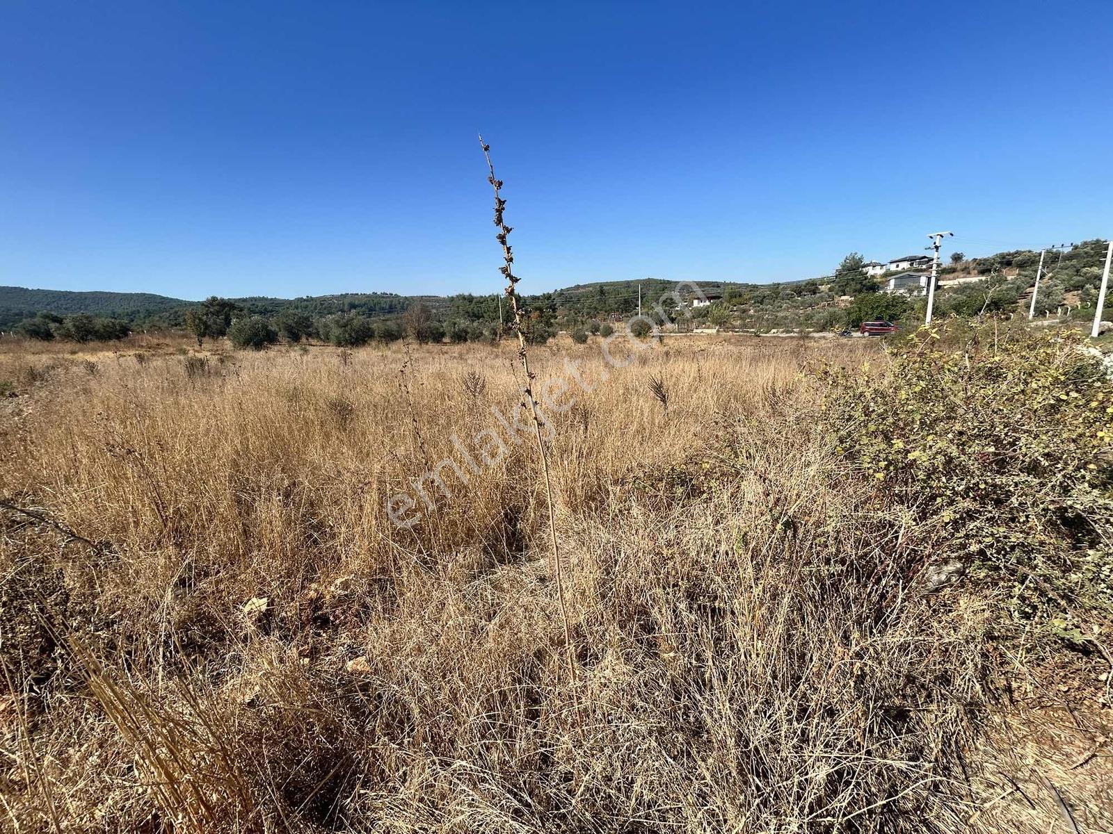Kuşadası Çınar Köyünde Anayol Kenarında Satılık Arsa — fotoğraf 20
