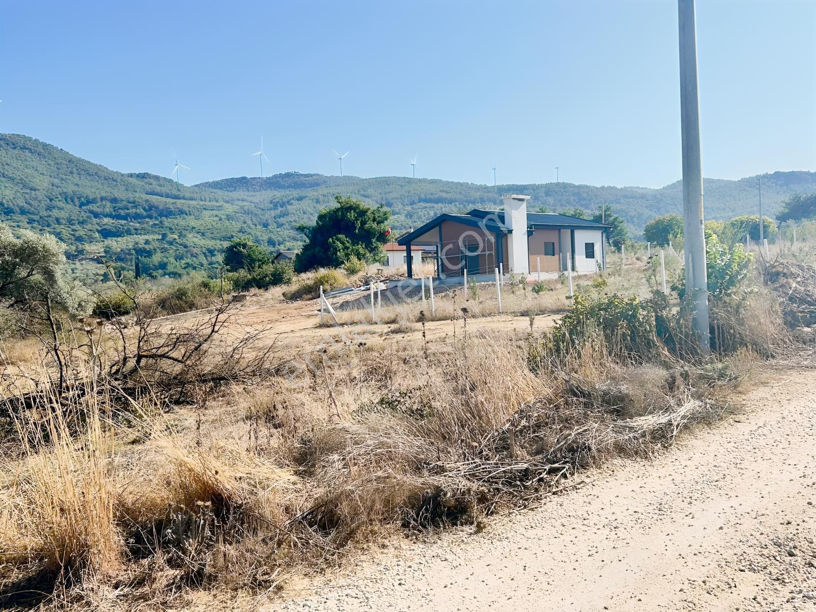 Kuşadası Çınar Köyünde Anayol Kenarında Satılık Arsa — fotoğraf 22