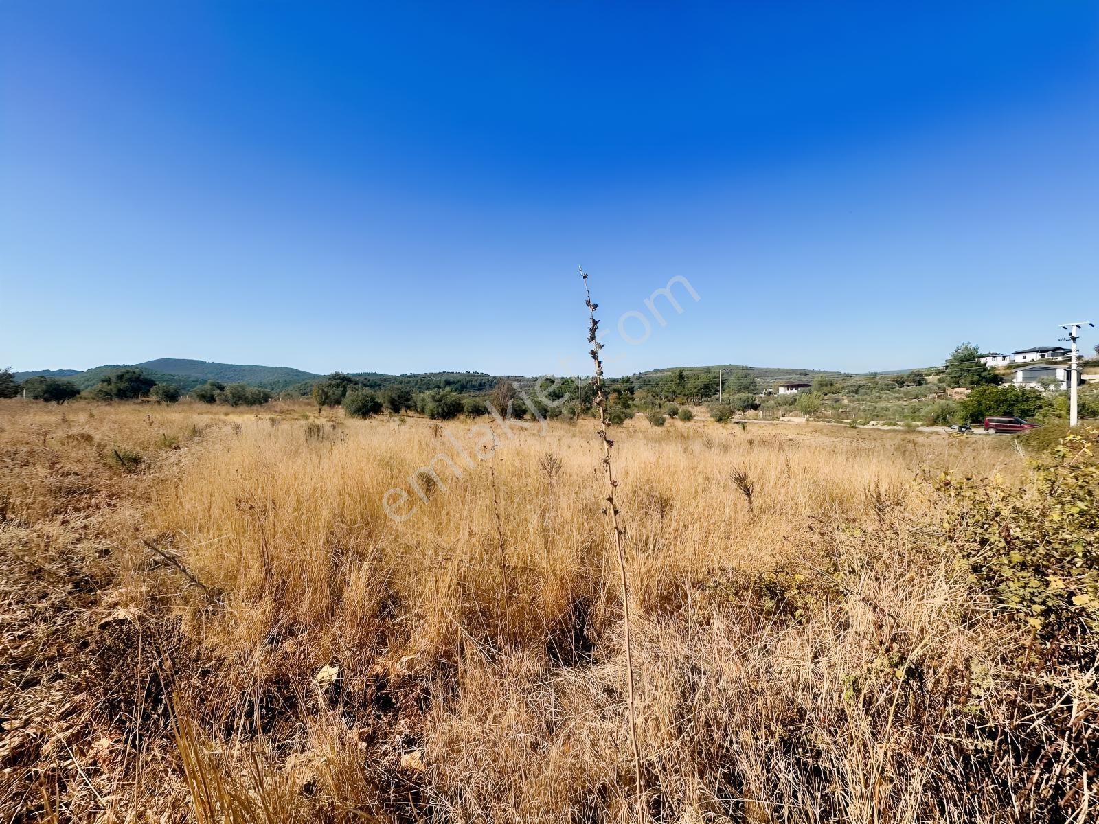 Kuşadası Çınar Köyünde Anayol Kenarında Satılık Arsa — fotoğraf 29