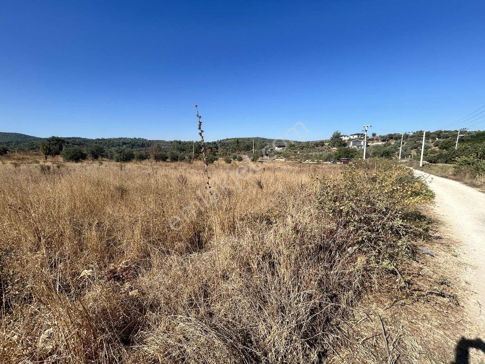 Kuşadası Çınar Köyünde Anayol Kenarında Satılık Arsa — fotoğraf 32