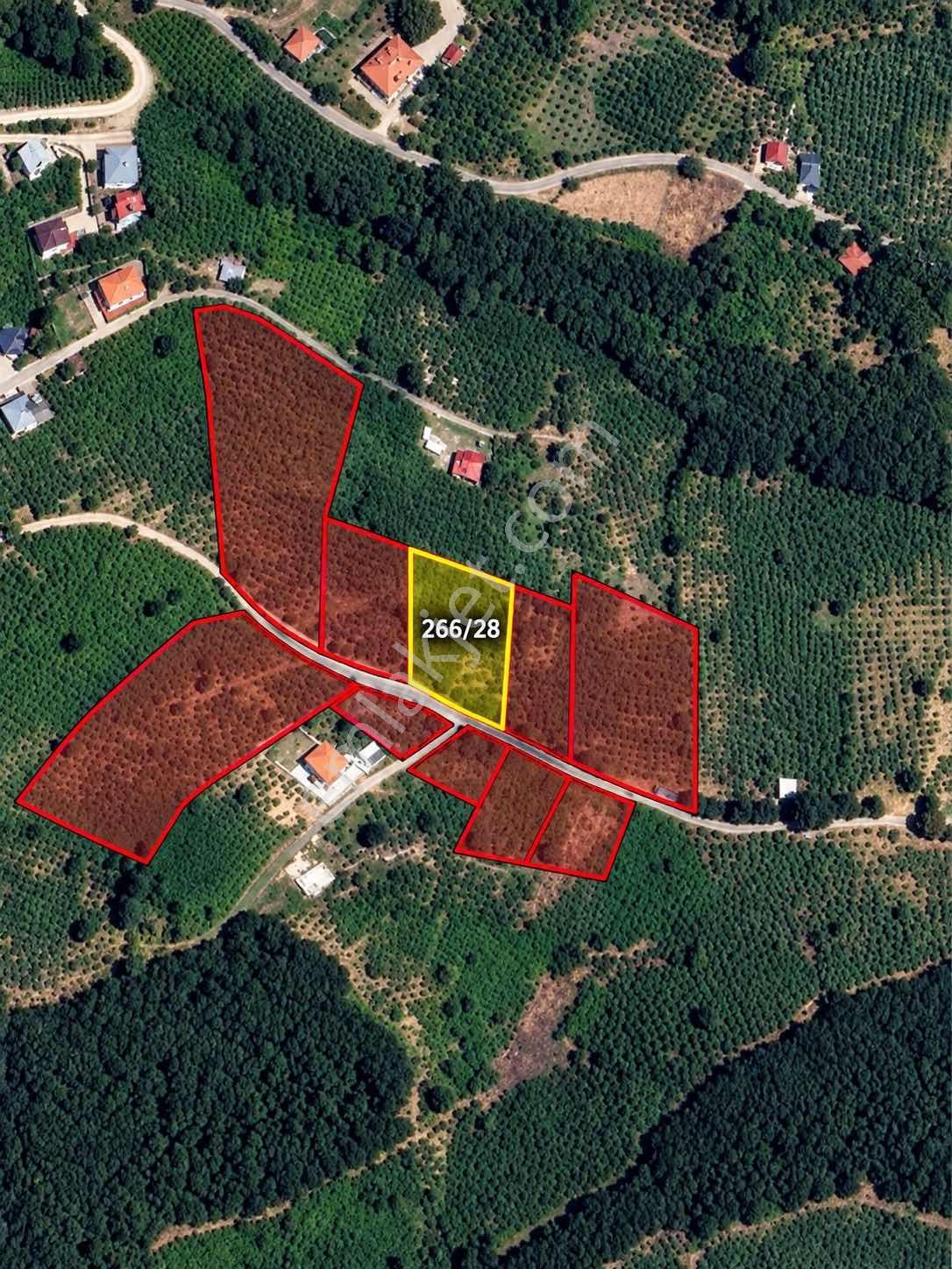 Mg Emlak | Kuzulukta Manzaralı 1.678 M² Satılık Bahçe — fotoğraf 2