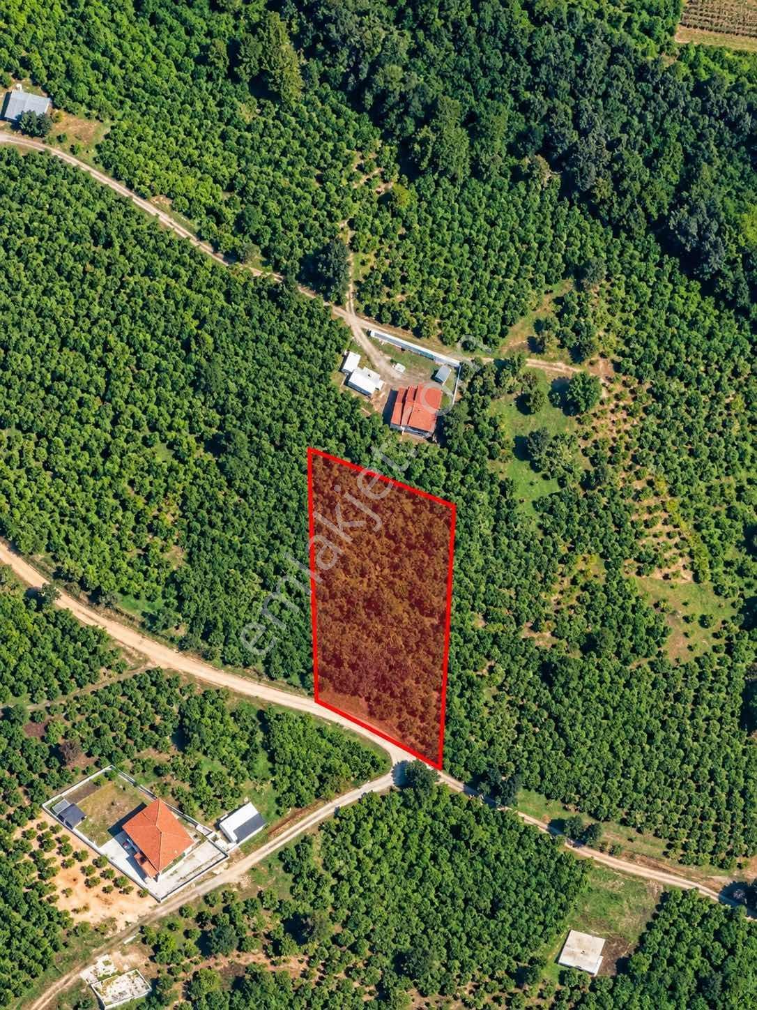 Mg Emlak | Kuzulukta Manzaralı 1.678 M² Satılık Bahçe — fotoğraf 4