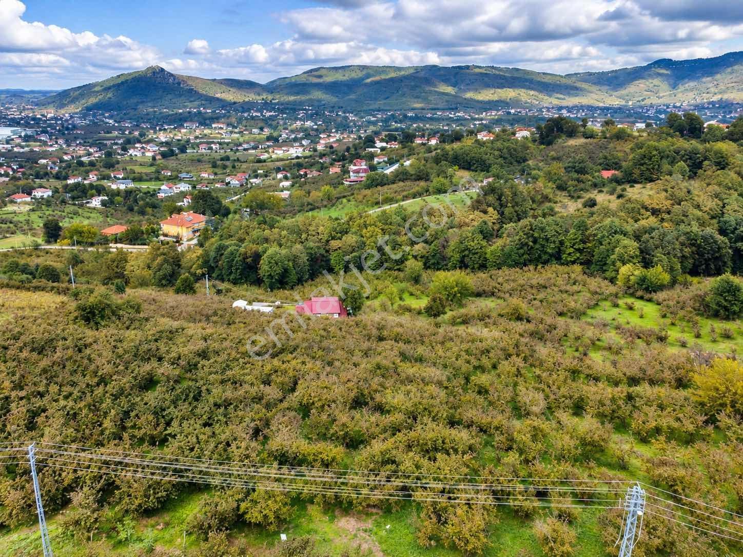 Mg Emlak | Kuzulukta Manzaralı 1.678 M² Satılık Bahçe — fotoğraf 6
