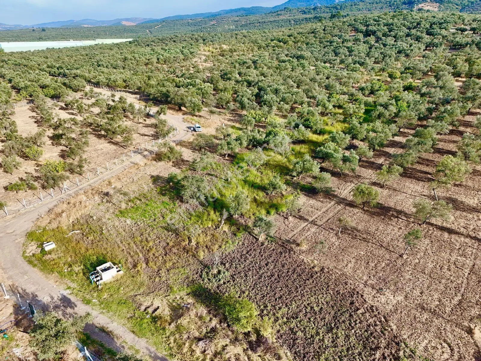 Akçay Aras Emlaktan Hobi Bahçesine Uygun 5656 M2 Zeytinlik