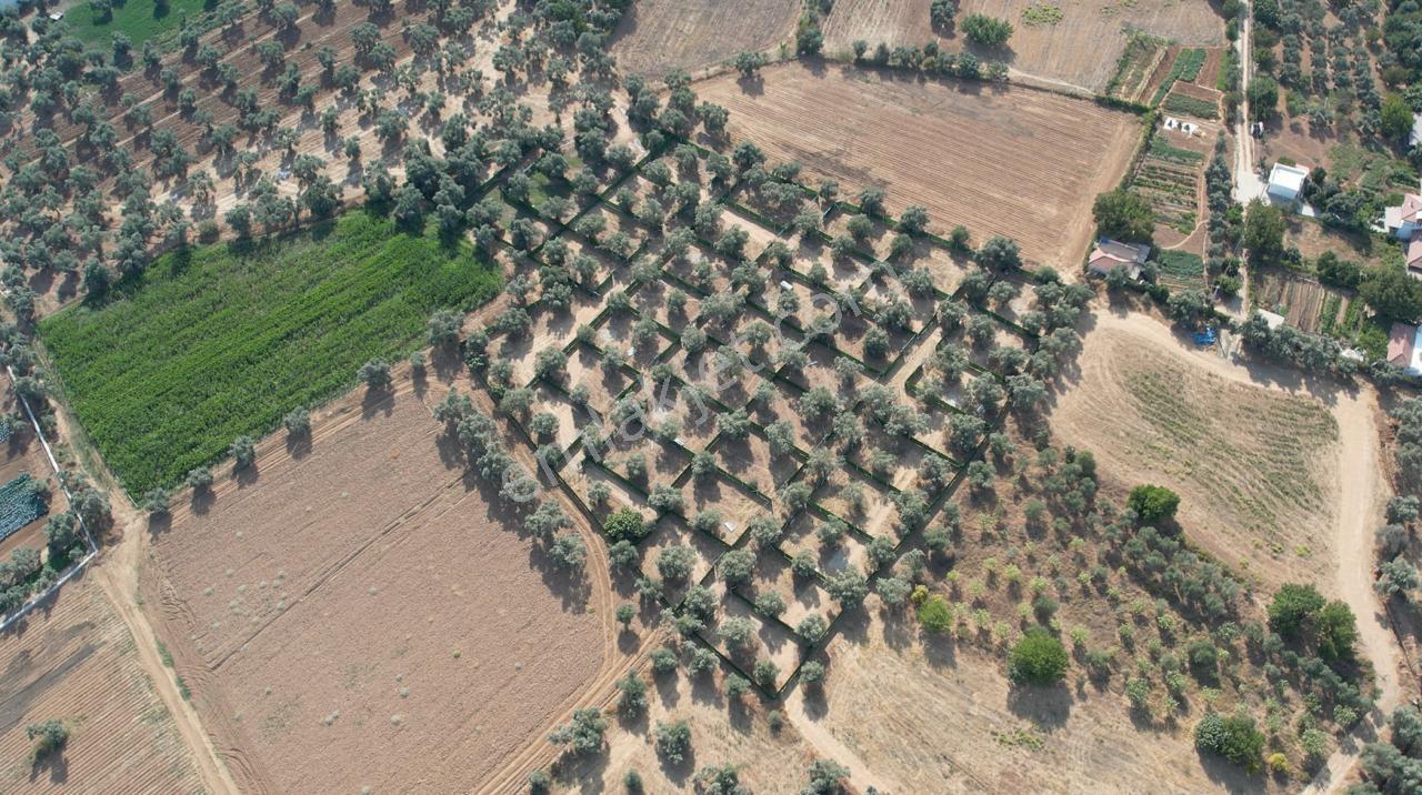 Milas Pomelon Avm Yanında | İmar Sınırında | Kooperatif Hissesi — fotoğraf 4
