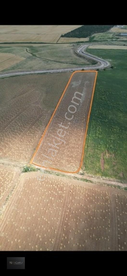 Kadir Saçaklı Emlak'tan 92.000 M² Sulu Tarla — fotoğraf 2