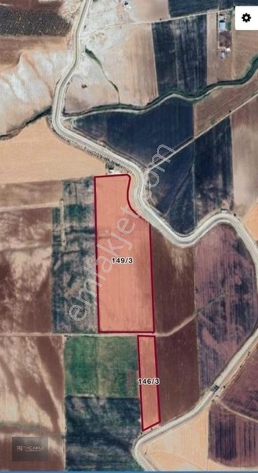 Kadir Saçaklı Emlak'tan 92.000 M² Sulu Tarla — fotoğraf 3