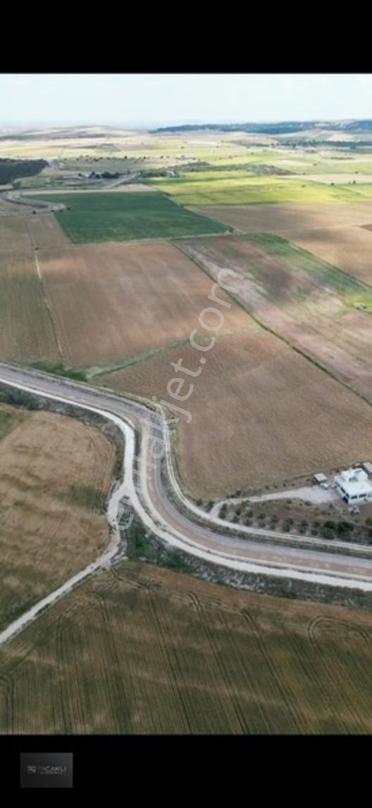Kadir Saçaklı Emlak'tan 92.000 M² Sulu Tarla — fotoğraf 6