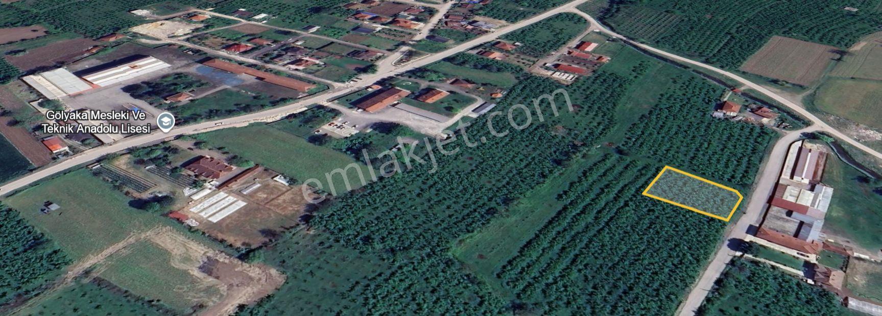 Gölyaka İmamlar’da İmarlı | Elektrik-su-doğalgazlı 1.209 M² Arsa — fotoğraf 3