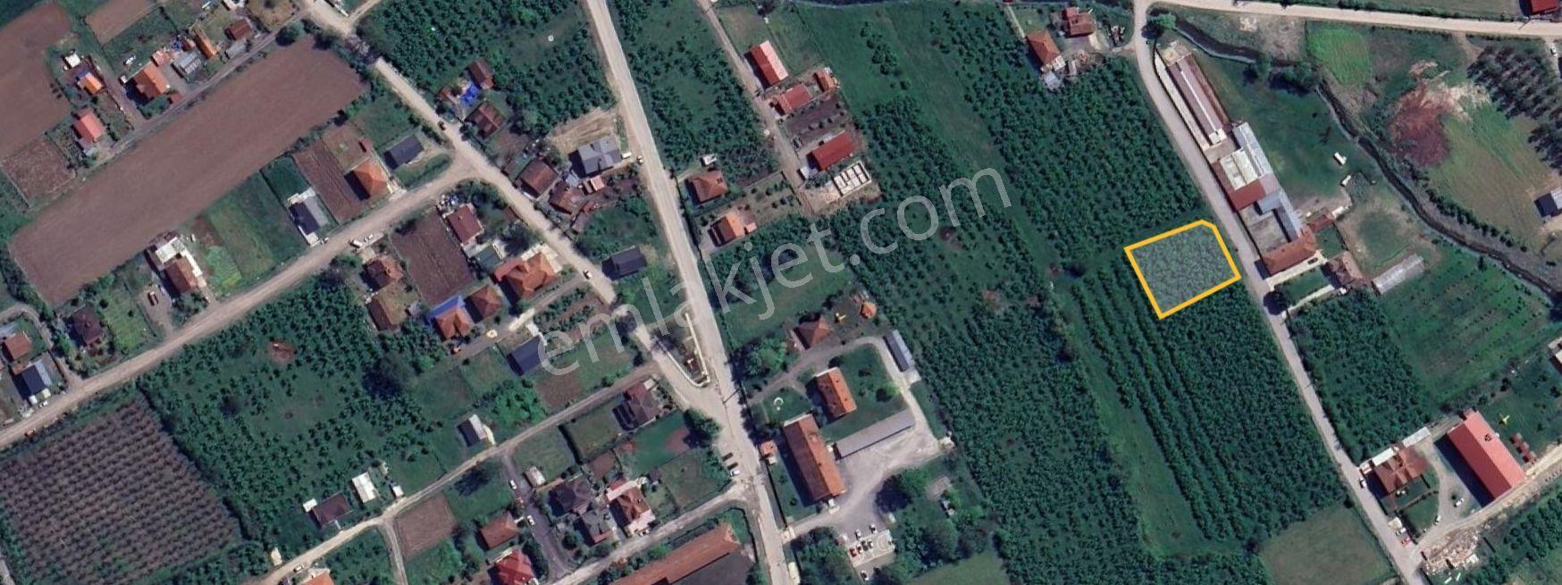 Gölyaka İmamlar’da İmarlı | Elektrik-su-doğalgazlı 1.209 M² Arsa — fotoğraf 4