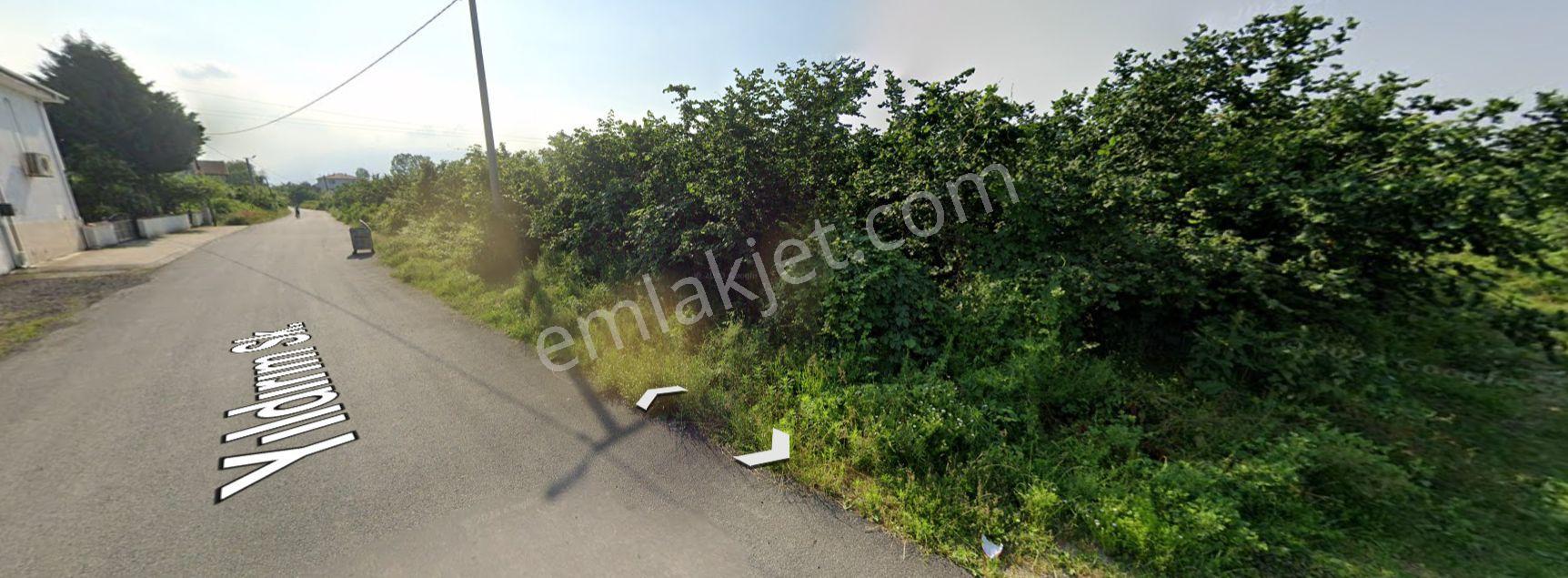 Gölyaka İmamlar’da İmarlı | Elektrik-su-doğalgazlı 1.209 M² Arsa — fotoğraf 11