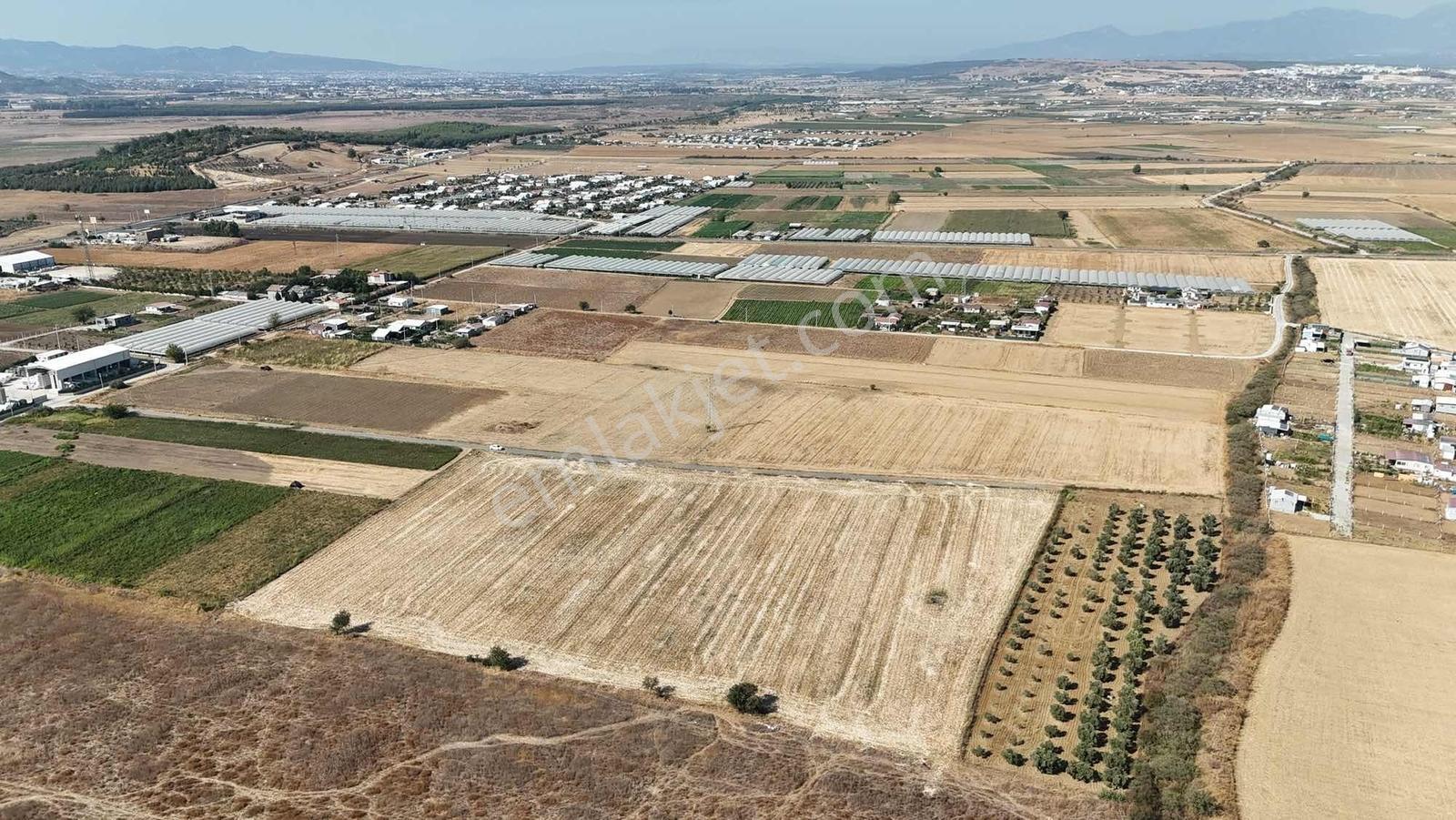 Berk Emlak'Tan Sancaklıda Ana Yola Yakın 5.000 M2 Satılık Tarla