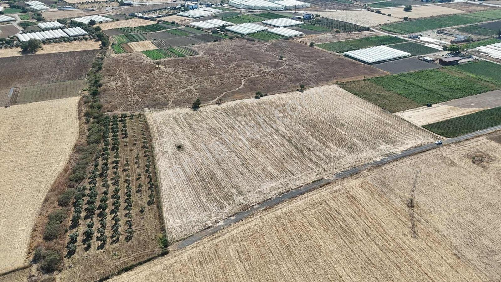 Berk Emlak'tan Sancaklıda Ana Yola Yakın 5.000 M2 Satılık Tarla — fotoğraf 2