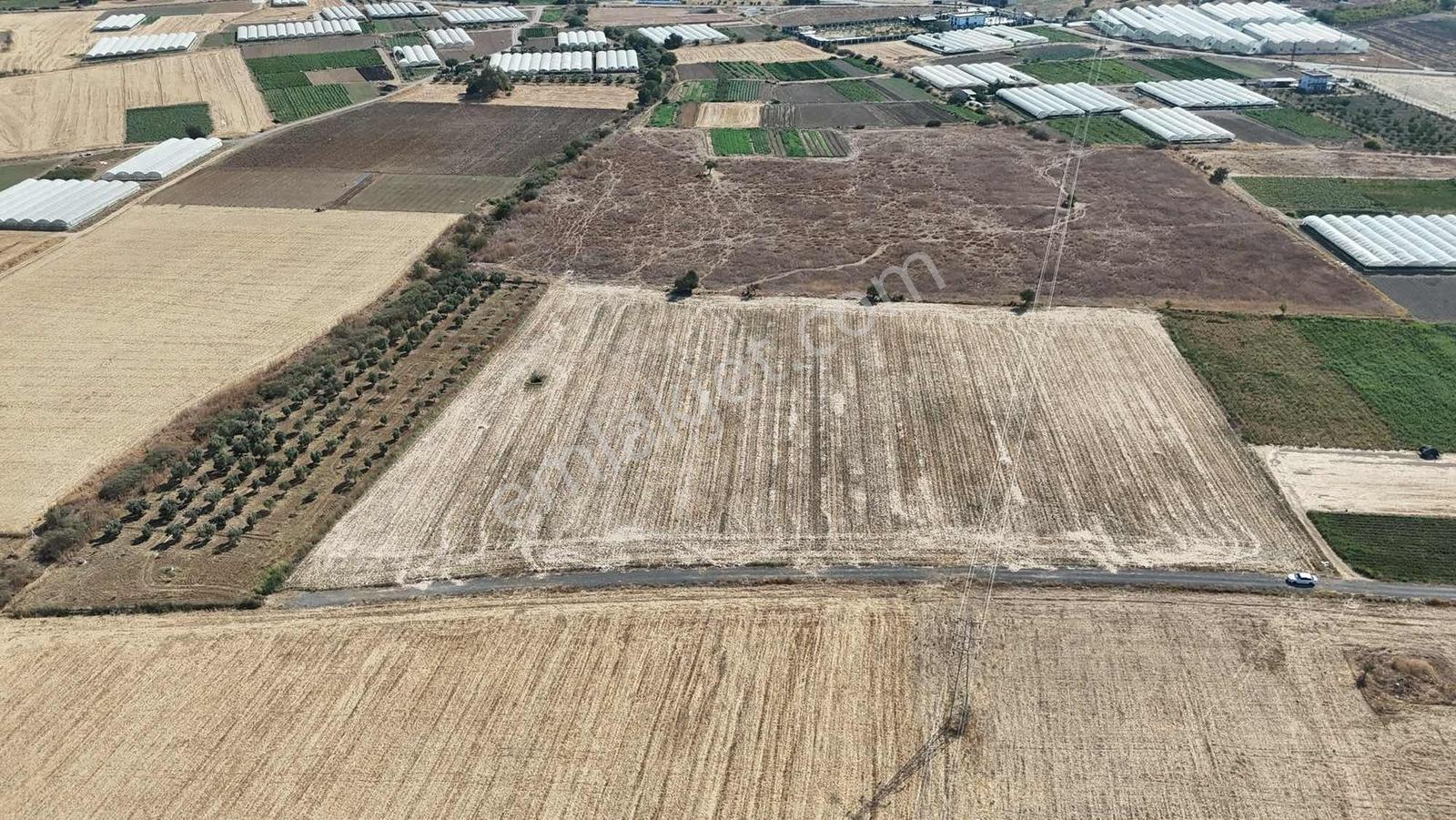 Berk Emlak'tan Sancaklıda Ana Yola Yakın 5.000 M2 Satılık Tarla — fotoğraf 3
