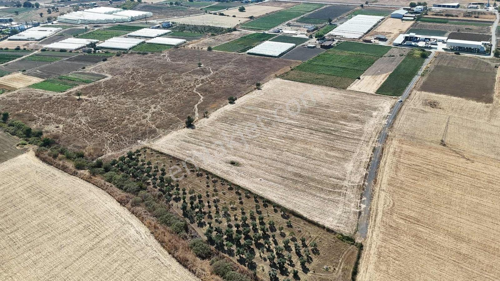Berk Emlak'tan Sancaklıda Ana Yola Yakın 5.000 M2 Satılık Tarla — fotoğraf 4