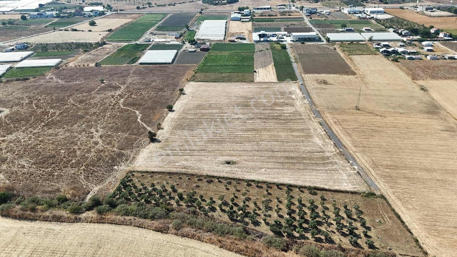 Berk Emlak'tan Sancaklıda Ana Yola Yakın 5.000 M2 Satılık Tarla — fotoğraf 5