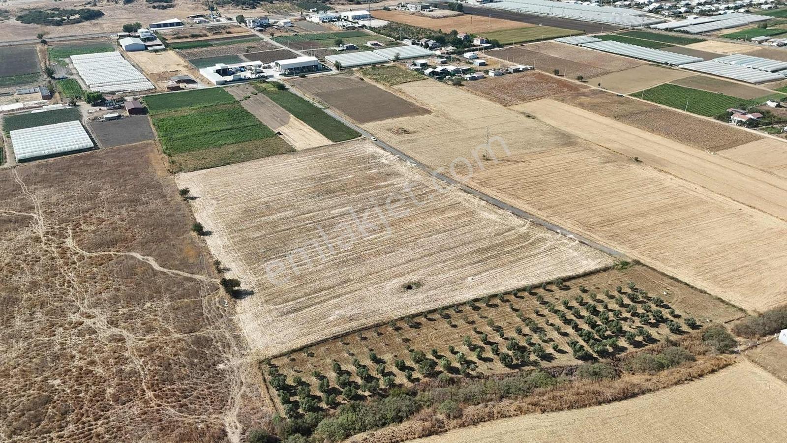 Berk Emlak'tan Sancaklıda Ana Yola Yakın 5.000 M2 Satılık Tarla — fotoğraf 6