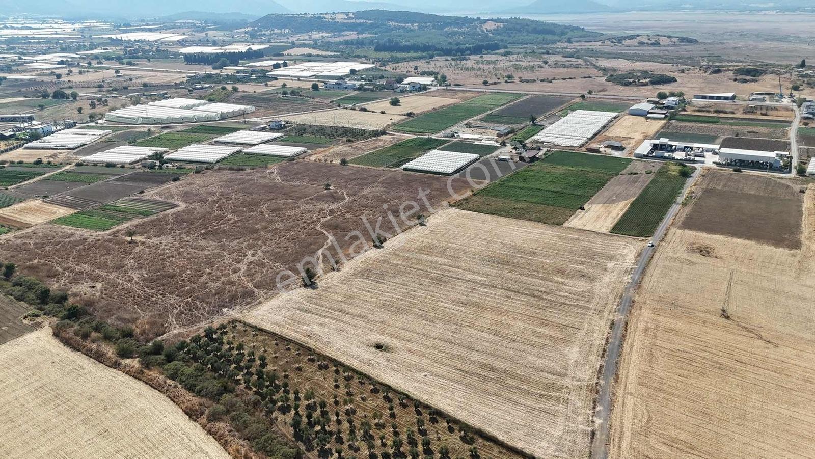 Berk Emlak'tan Sancaklıda Ana Yola Yakın 5.000 M2 Satılık Tarla — fotoğraf 9
