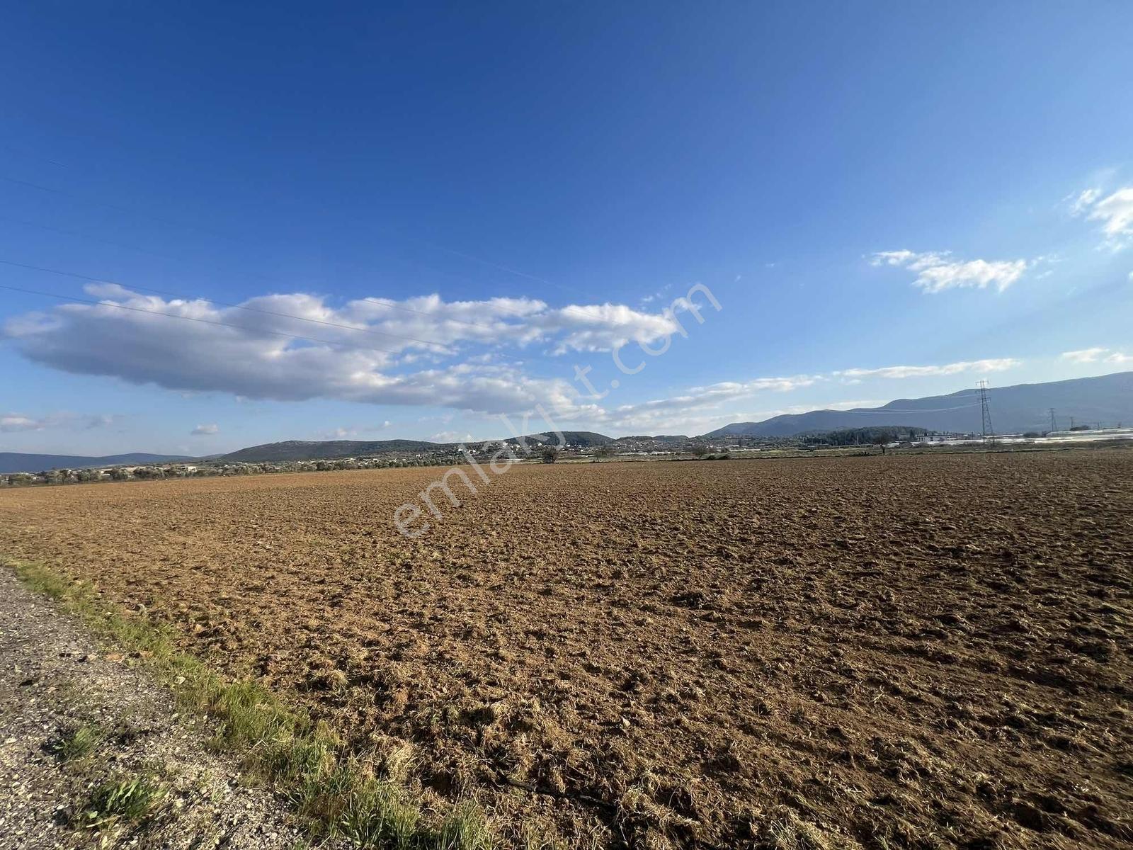 Berk Emlak'tan Sancaklıda Ana Yola Yakın 5.000 M2 Satılık Tarla — fotoğraf 10