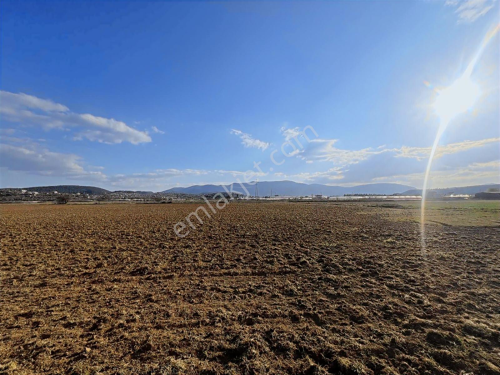 Berk Emlak'tan Sancaklıda Ana Yola Yakın 5.000 M2 Satılık Tarla — fotoğraf 11