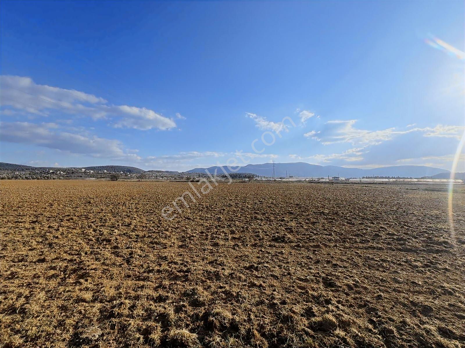 Berk Emlak'tan Sancaklıda Ana Yola Yakın 5.000 M2 Satılık Tarla — fotoğraf 12