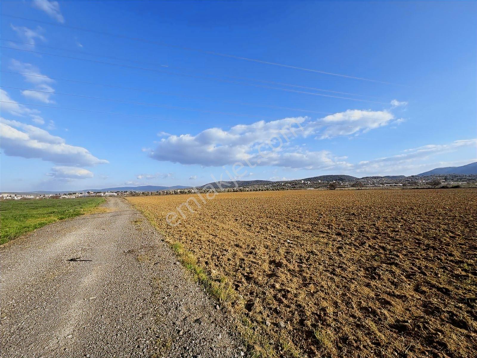 Berk Emlak'tan Sancaklıda Ana Yola Yakın 5.000 M2 Satılık Tarla — fotoğraf 13