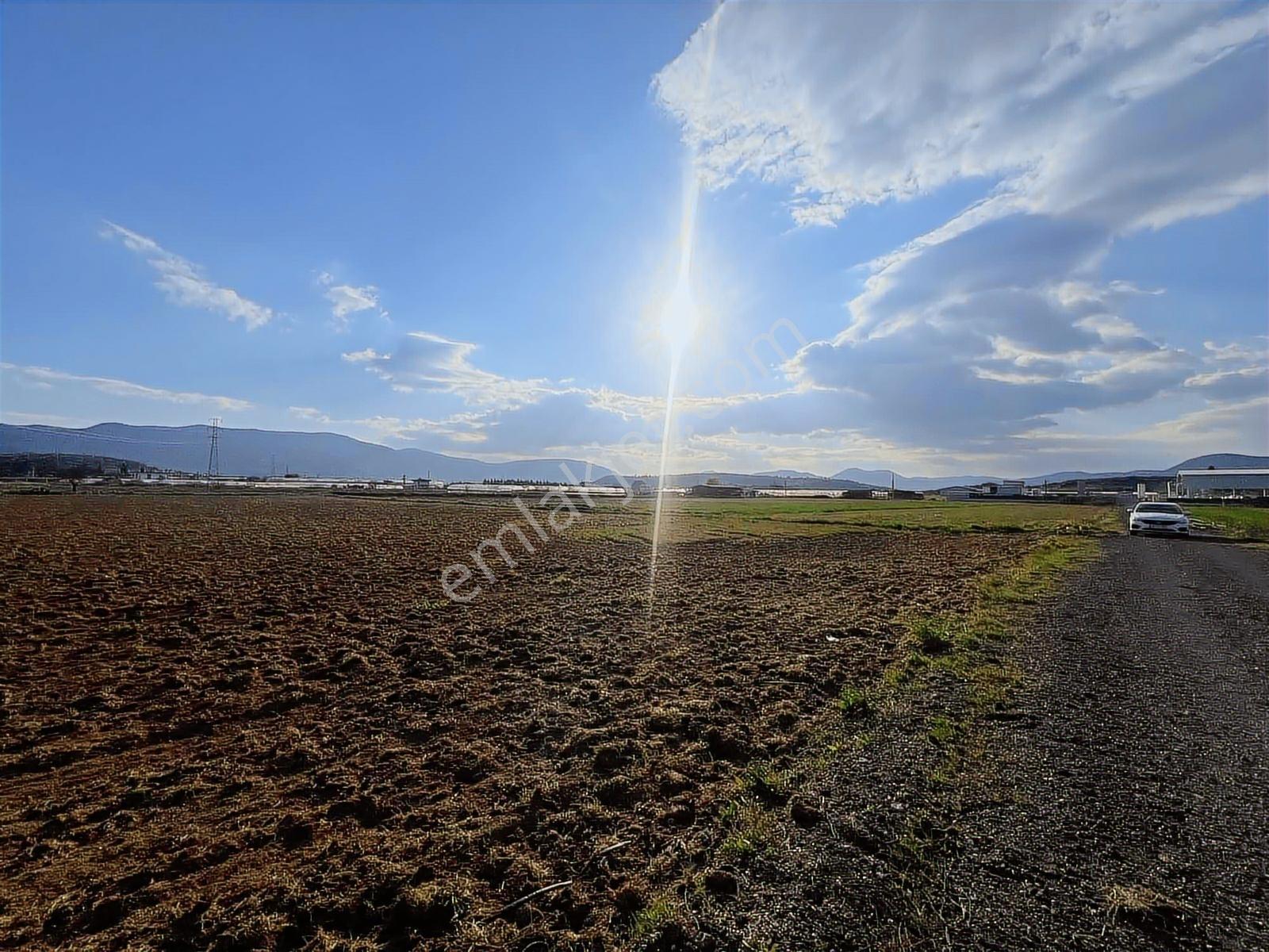 Berk Emlak'tan Sancaklıda Ana Yola Yakın 5.000 M2 Satılık Tarla — fotoğraf 14