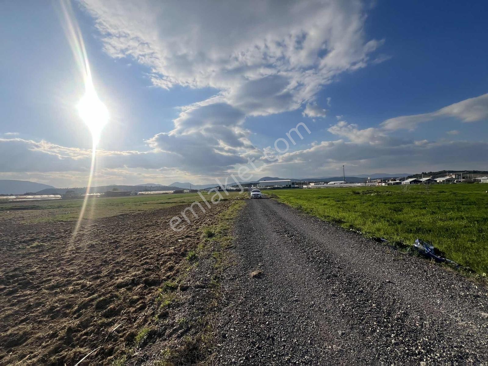 Berk Emlak'tan Sancaklıda Ana Yola Yakın 5.000 M2 Satılık Tarla — fotoğraf 15