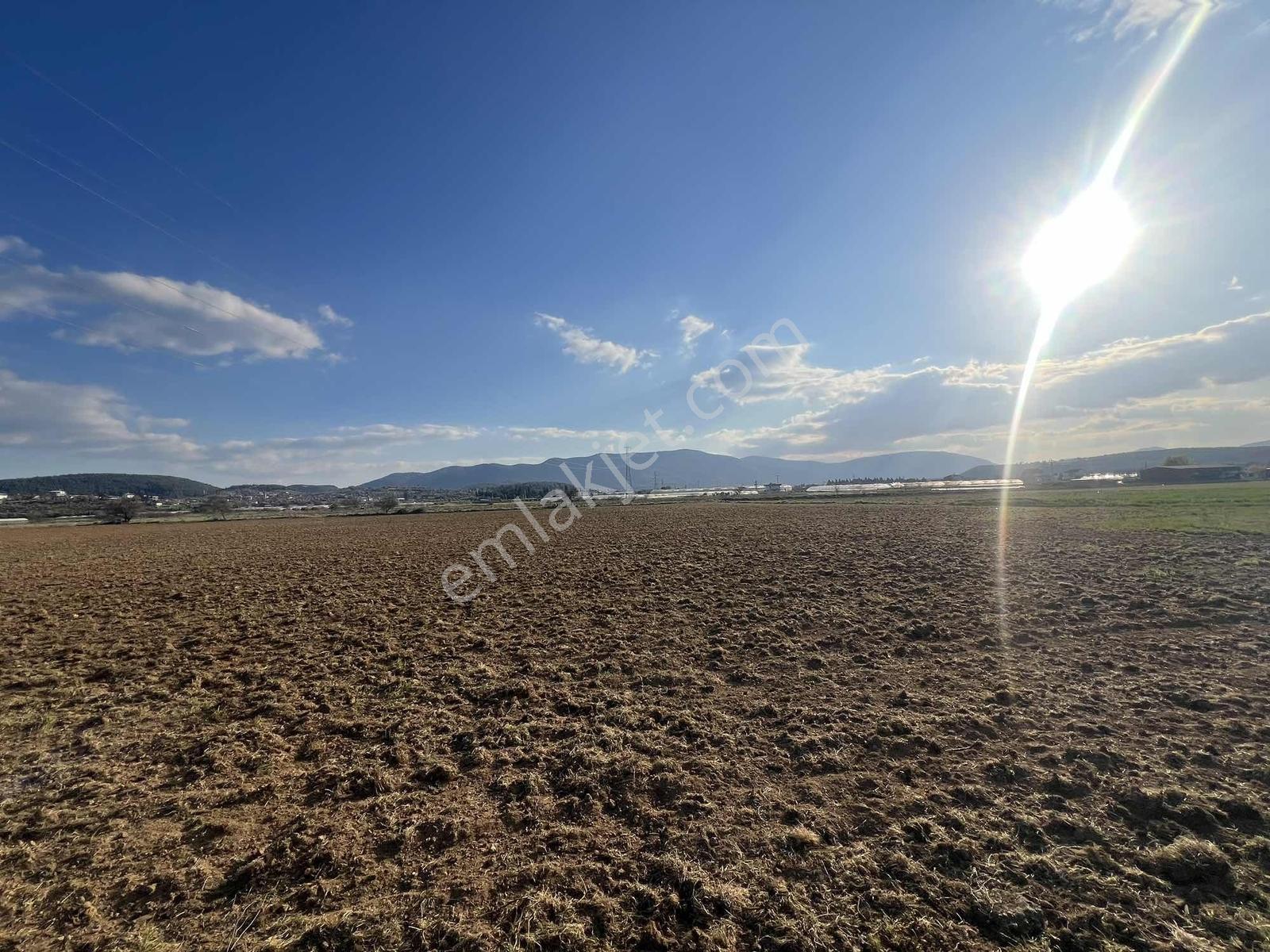 Berk Emlak'tan Sancaklıda Ana Yola Yakın 5.000 M2 Satılık Tarla — fotoğraf 16