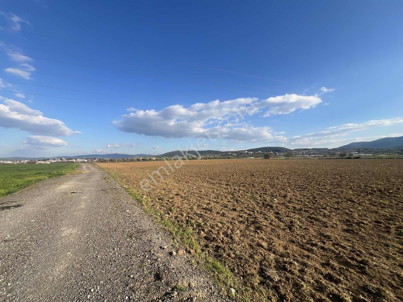 Berk Emlak'tan Sancaklıda Ana Yola Yakın 5.000 M2 Satılık Tarla — fotoğraf 17