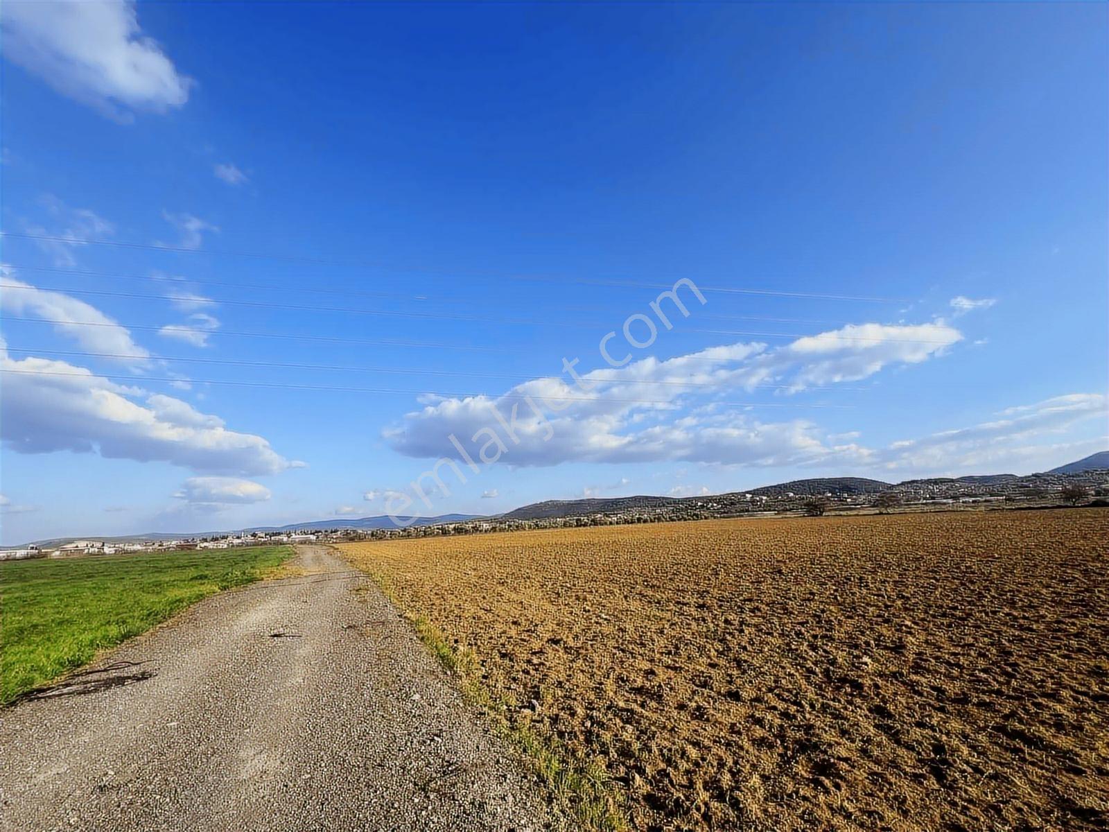 Berk Emlak'tan Sancaklıda Ana Yola Yakın 5.000 M2 Satılık Tarla — fotoğraf 19