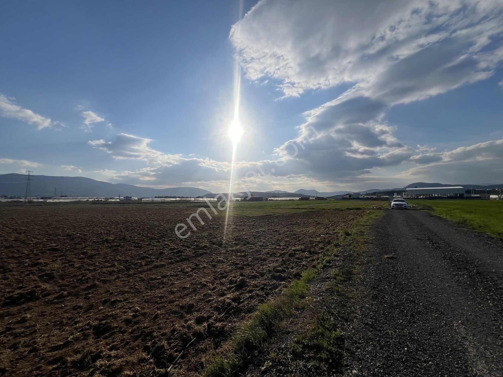 Berk Emlak'tan Sancaklıda Ana Yola Yakın 5.000 M2 Satılık Tarla — fotoğraf 20