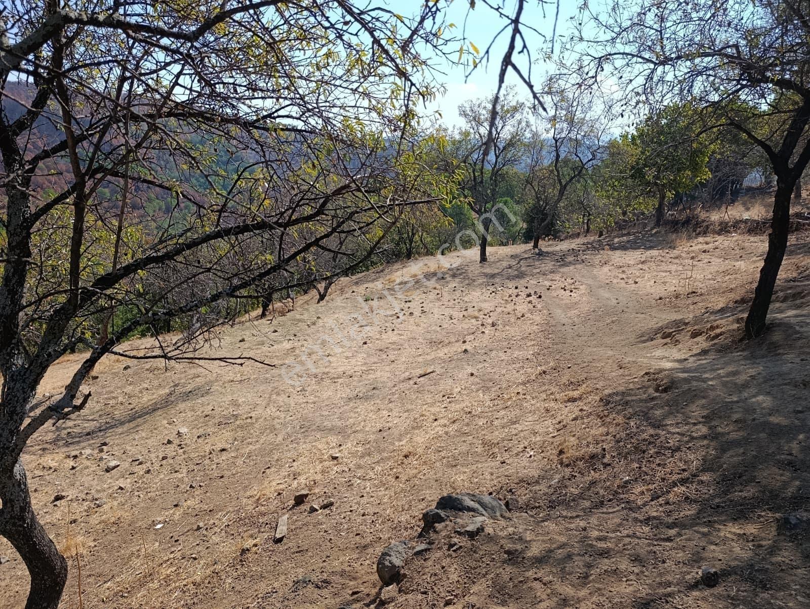 Mir 'den Ayvalık Hacıveliler Köyünde Yatırım Fırsatlı Arsa — fotoğraf 5