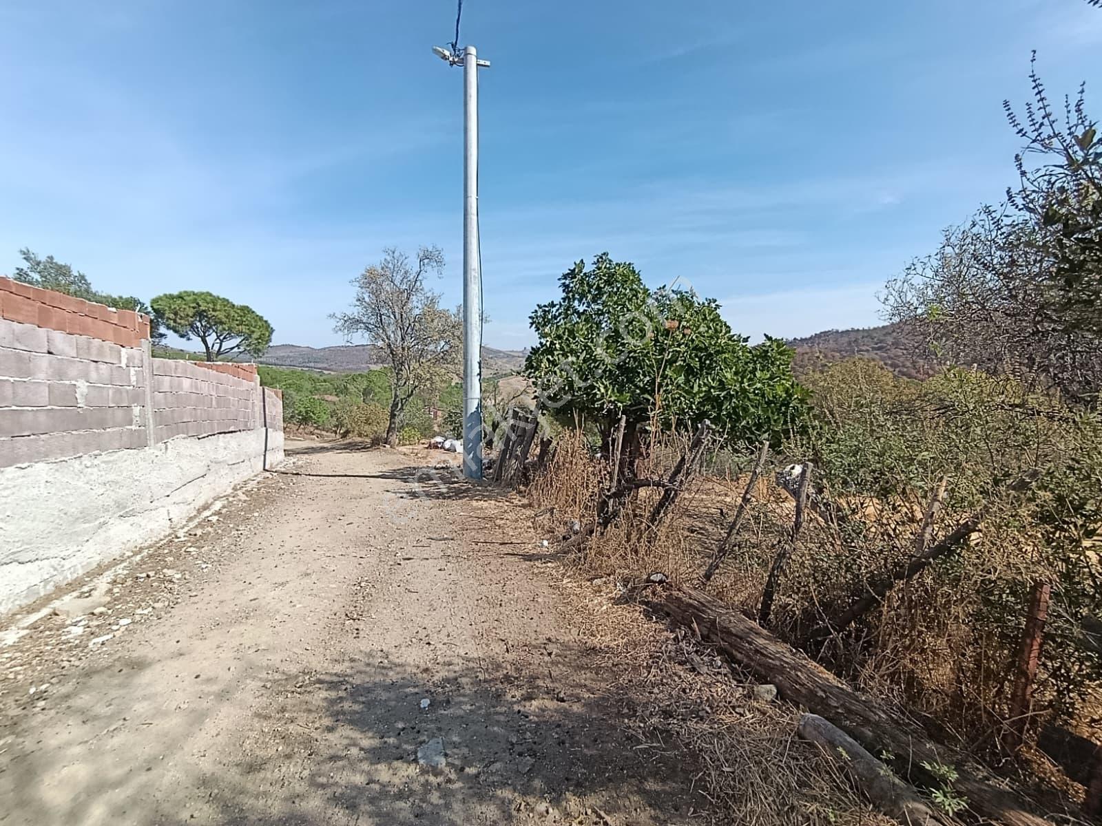 Mir 'den Ayvalık Hacıveliler Köyünde Yatırım Fırsatlı Arsa — fotoğraf 6