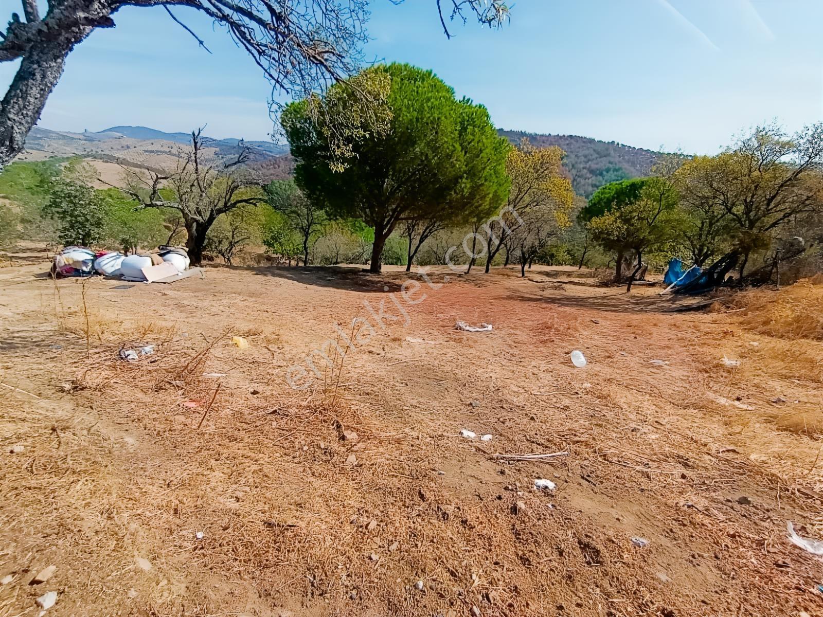 Mir 'den Ayvalık Hacıveliler Köyünde Yatırım Fırsatlı Arsa — fotoğraf 10