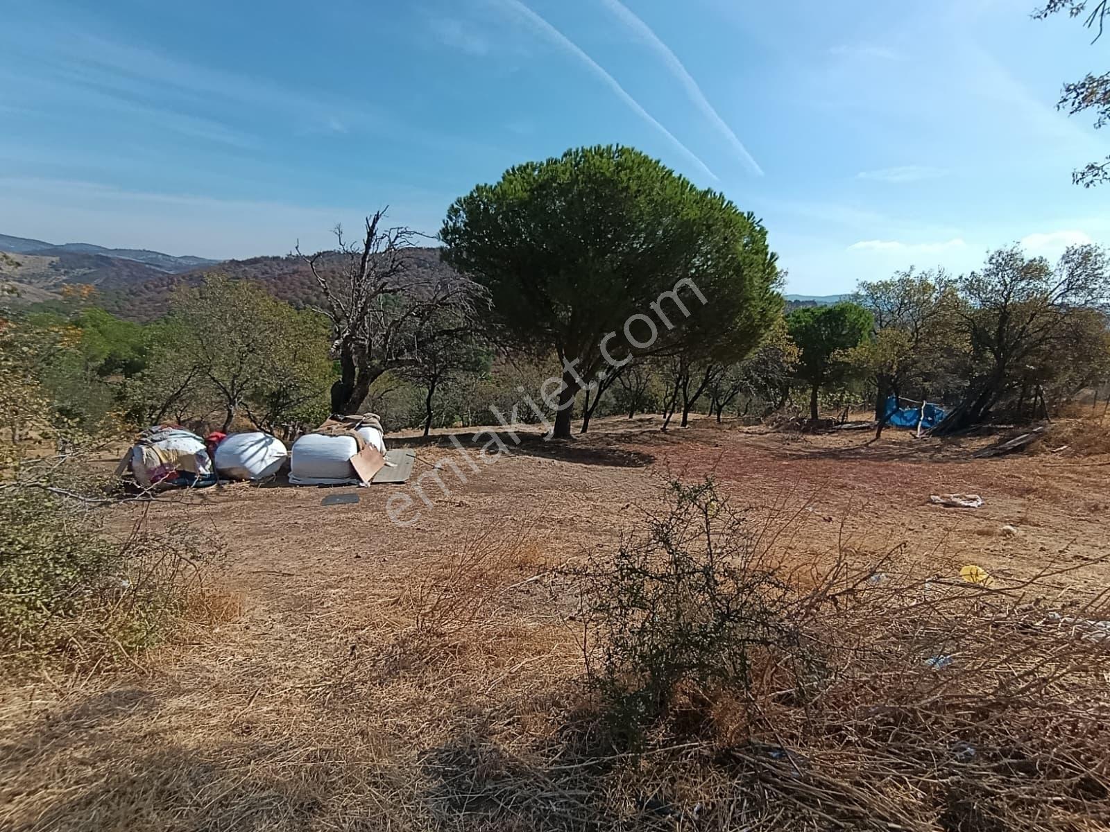 Mir 'den Ayvalık Hacıveliler Köyünde Yatırım Fırsatlı Arsa — fotoğraf 13