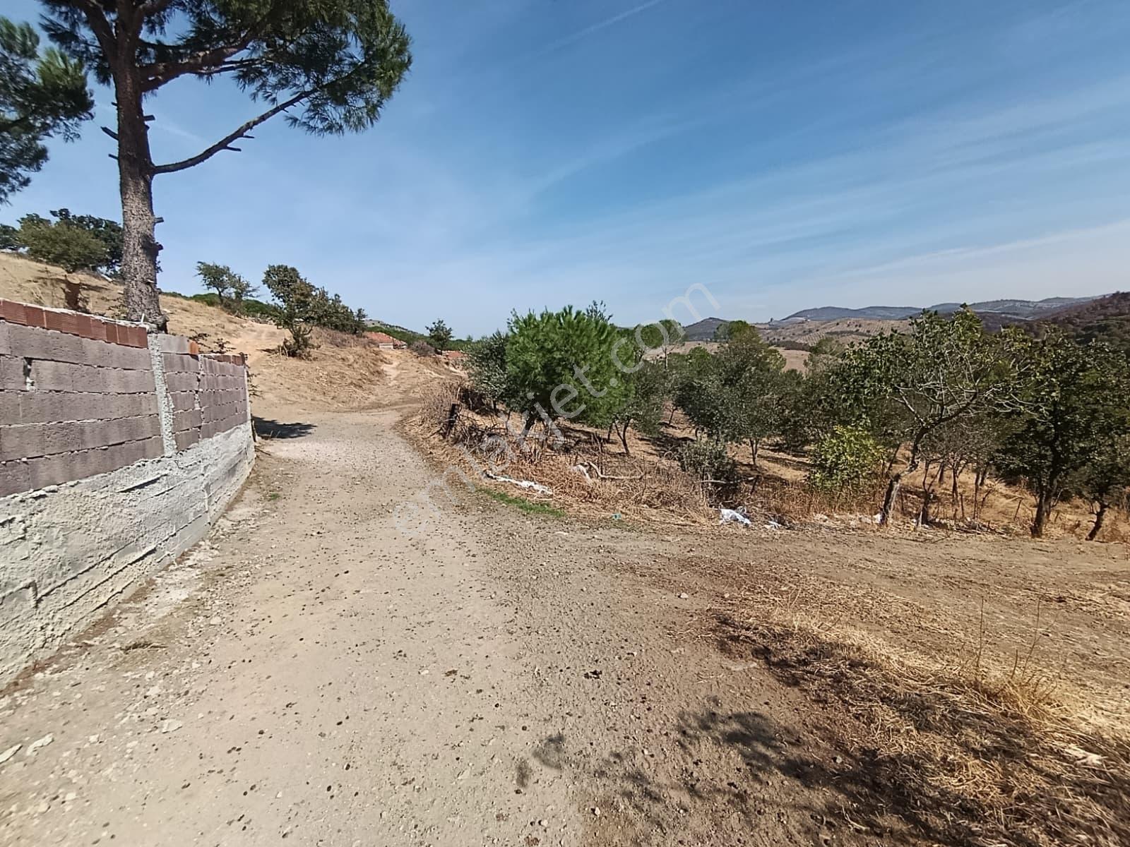 Mir 'den Ayvalık Hacıveliler Köyünde Yatırım Fırsatlı Arsa — fotoğraf 18