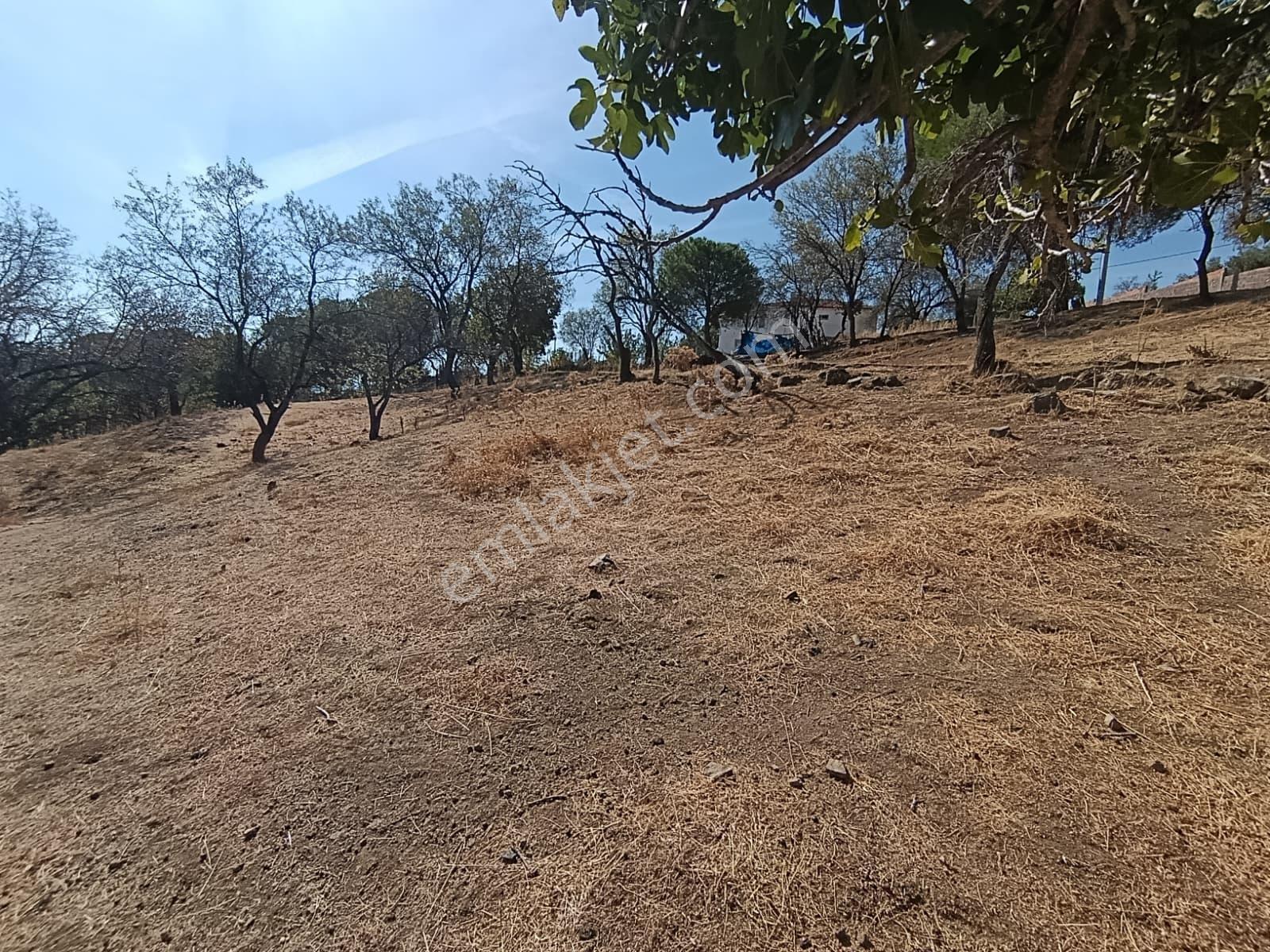 Mir 'den Ayvalık Hacıveliler Köyünde Yatırım Fırsatlı Arsa — fotoğraf 30