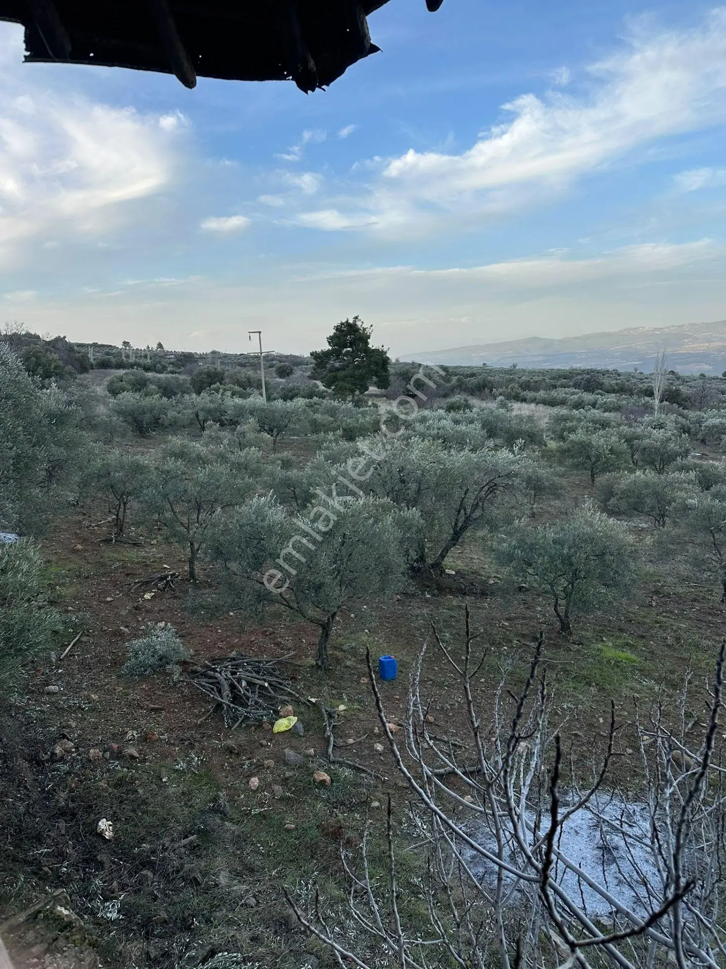 Egenova Emlaktan Karacasu Yaylasında Hobi Bahcesi — fotoğraf 3