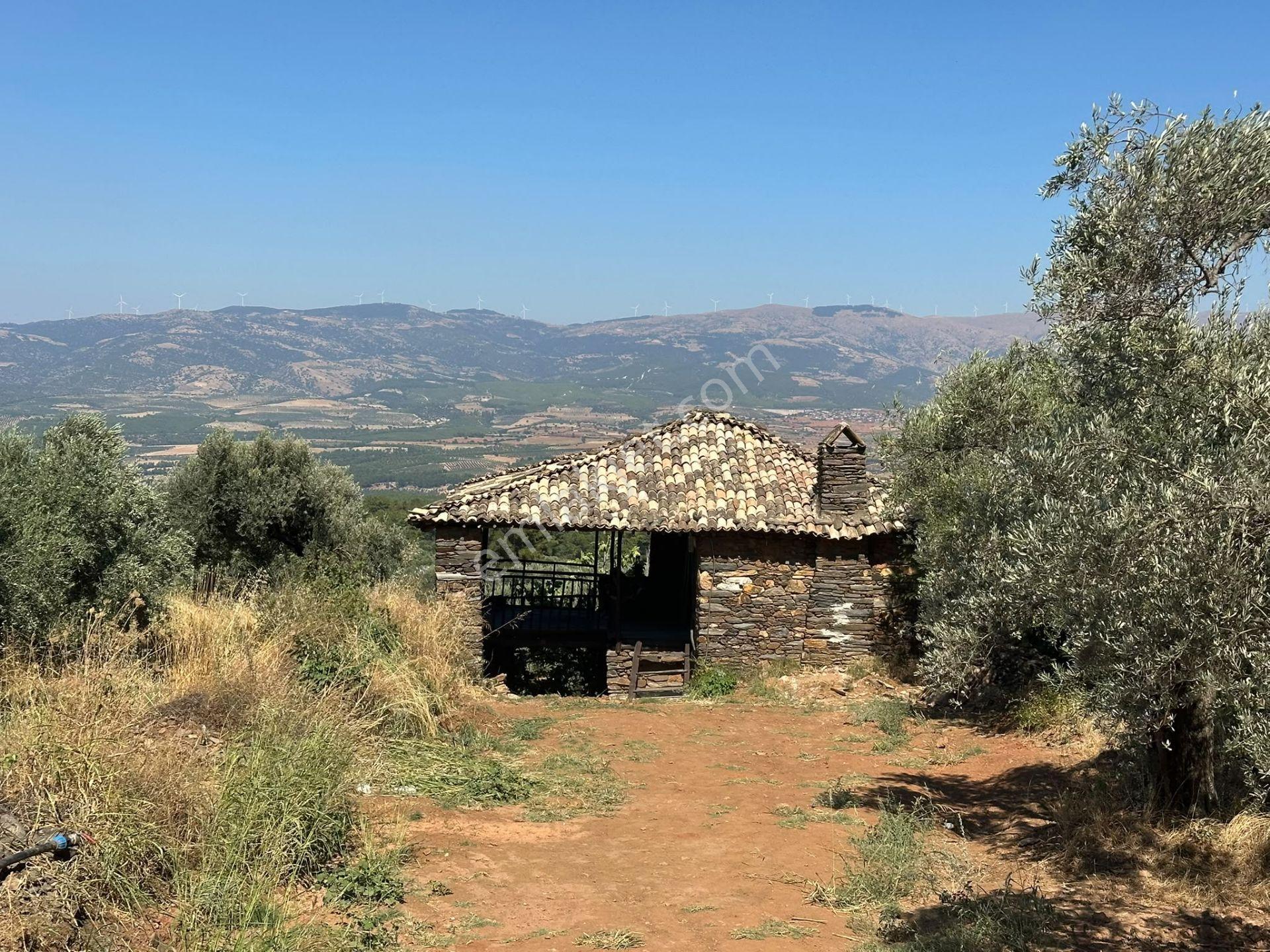 Egenova Emlaktan Karacasu Yaylasında Hobi Bahcesi — fotoğraf 8